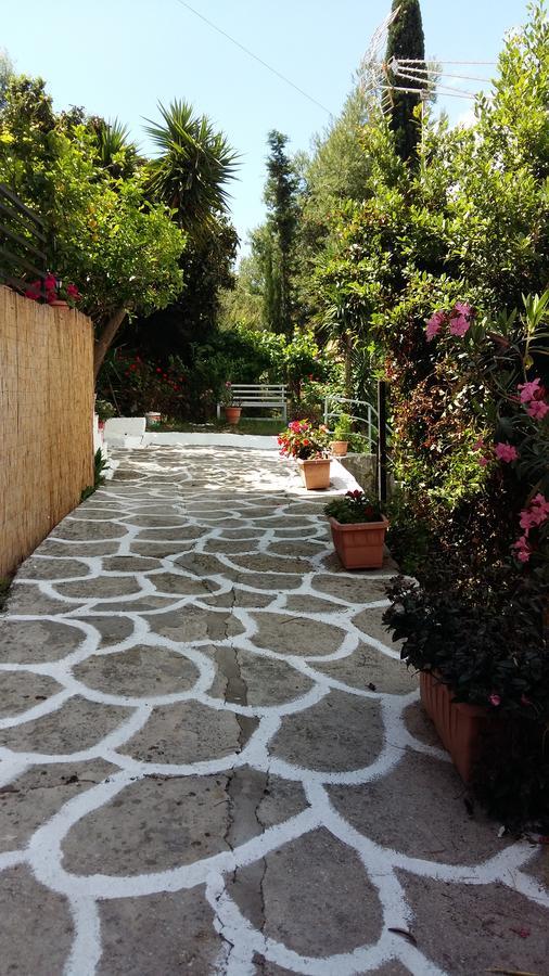 Delfini Bay Retreat Apartment Vasiliki  Bagian luar foto